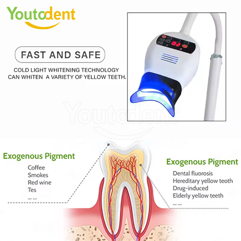 Professional Dental 3Color Lig - Workshop Tools And Equipment review and price