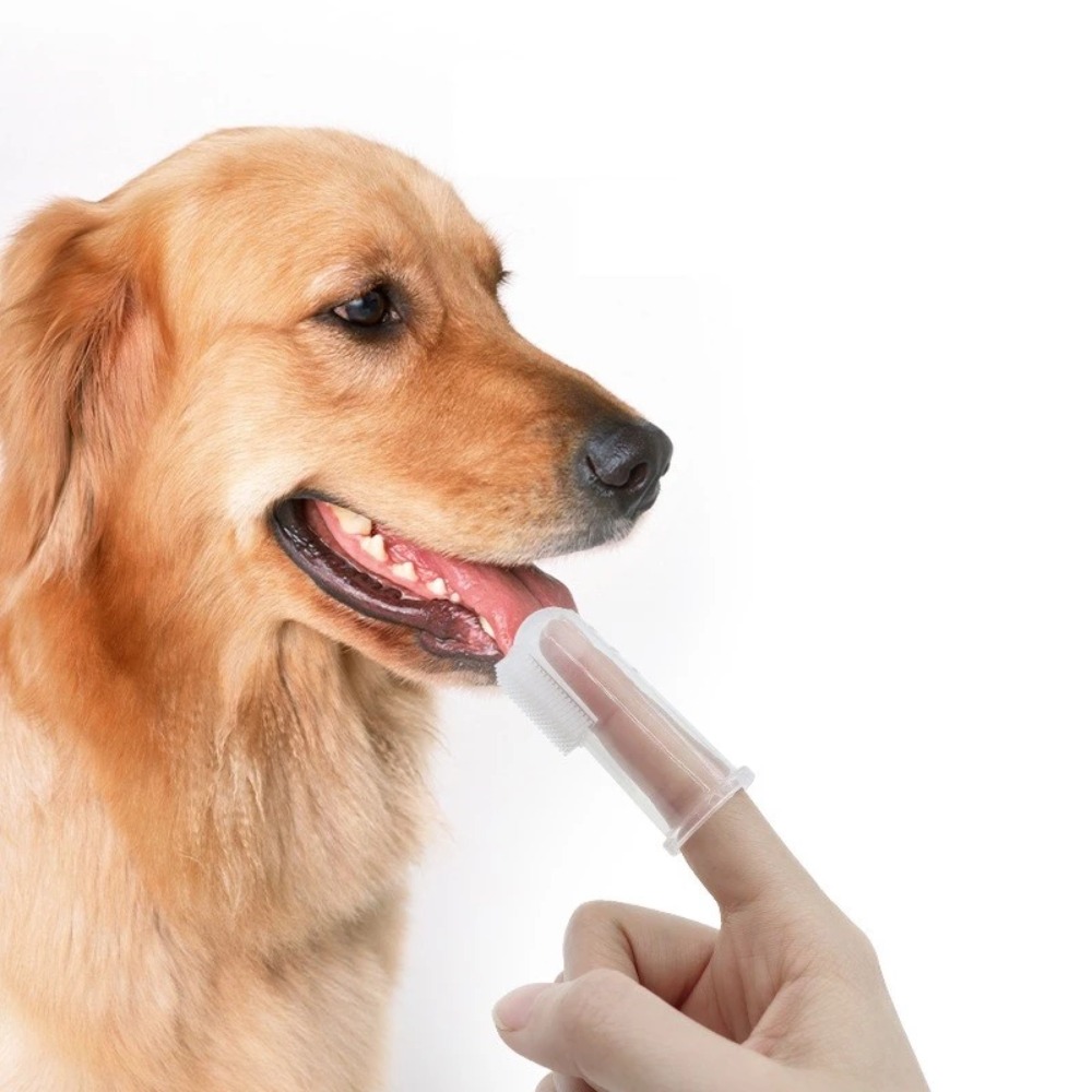 Super Soft Pet Finger Toothbru - Tools & Workshop Equipment review and price